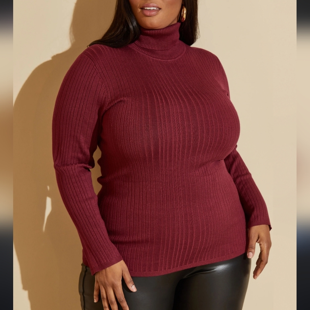 EUC Signature by Ashley Stewart red long sleeve turtleneck sweater top